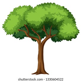 Isolated tree on white background illustration