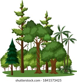 Isolated tree on white background illustration