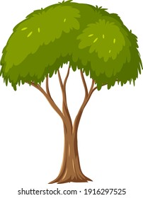 Árbol aislado en ilustración de fondo blanco