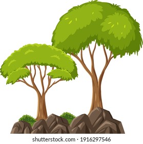Isolated tree on white background illustration