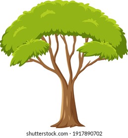 Isolated tree on white background illustration