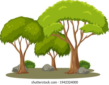 Árbol aislado en ilustración de fondo blanco