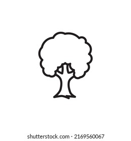 árbol aislado sobre fondo blanco