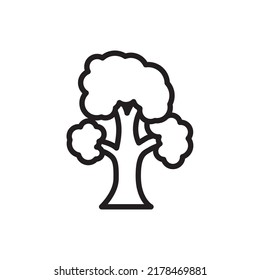 isolated tree on white background