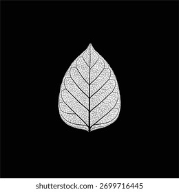 Isolated tree on white background