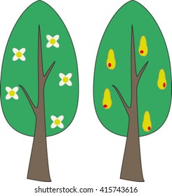isolated tree, pear, vector illustration