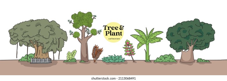 Isolated Tree and Plant Collection. Hand drawn various tree illustration.