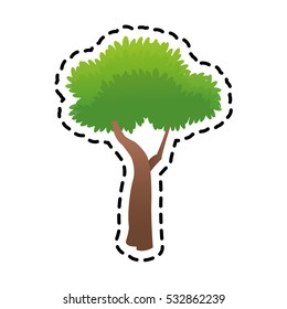 Isolated tree plant design