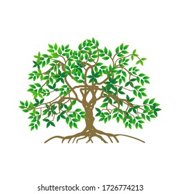 plantas arbóreas aisladas y raíces sobre fondo blanco, ilustración vectorial