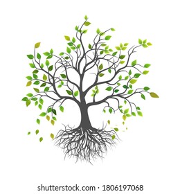 isolated tree plants and roots on a white background, vector illustration