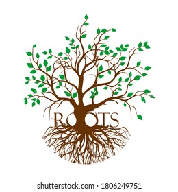 isolated tree plants and roots on a white background, vector 