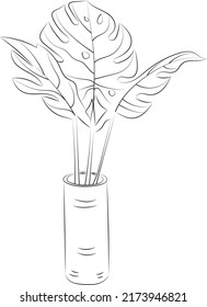 Isolated tree rose flower hand drawing line art with leaves