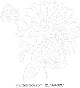 Árbol aislado de flores de rosa de la mano de dibujo arte con hojas