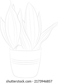 Isolated tree rose flower hand drawing line art with leaves