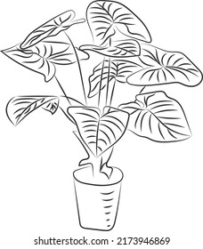 Árbol aislado de flores de rosa de la mano de dibujo arte con hojas