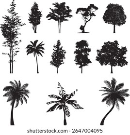 Isolated tree silhouettes. Black illustration of forest plants. Park scene elements. vector arts of trees. Garden design elements. Vector illustration