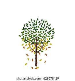 isolated tree trunk leaf green yellow red summer autumn