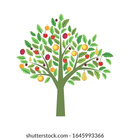 Isolated tree with various fruits