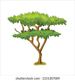 Isolated Tree Vector illustation . Green Nature