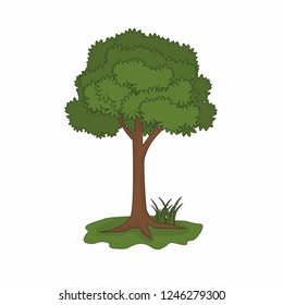 Isolated tree vector illustration 