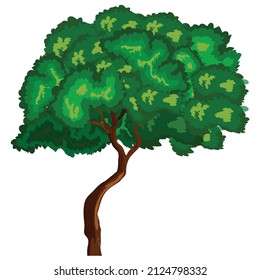 Isolated tree vector illustration on white background.
