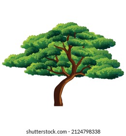 Isolated tree vector illustration on white background.