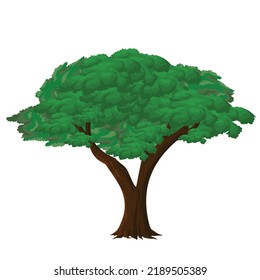 isolated tree vector illustration on white background