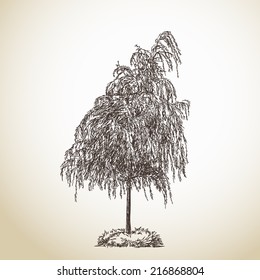 Isolated tree Vector Sketch Hand drawn illustration