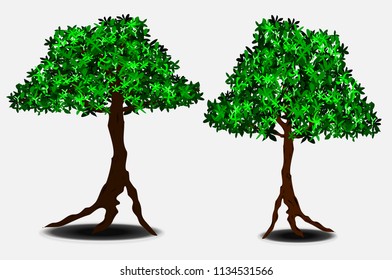 Isolated tree vector,Collection Beautiful tree Realistic on gray background.