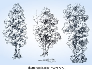 Isolated trees set, hand drawn detailed 