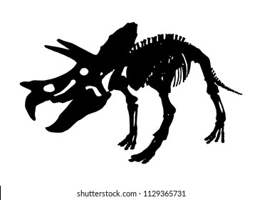 isolated Triceratops dinosaur skeleton fossil, vector illustration on white background