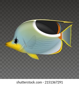 isolated tropical fish. saddle butterflyfish illustration  