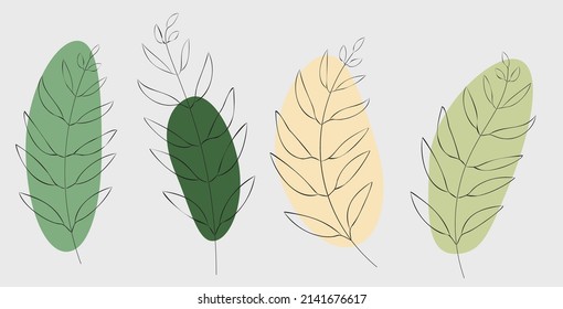 Isolated  of tropical plant leaves on white background.