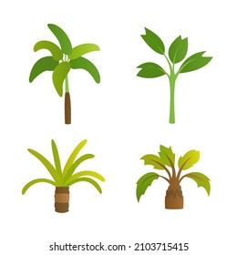 isolated tropical plants simple vector design, tropical plants with separated layers