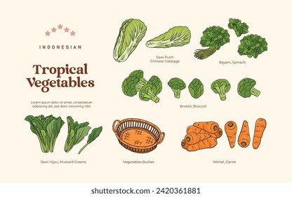 Isolated Tropical vegetables illustration, Indonesian botanical consumed plants element