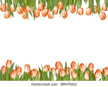 Isolated tulip frame arrangement, on a white background. EPS 10 vector file included