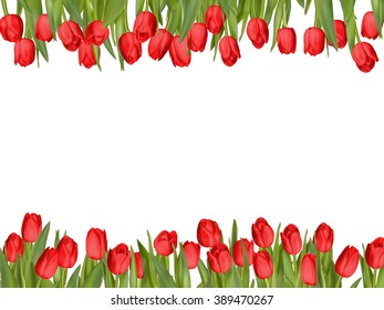 Isolated tulip frame arrangement, on a white background. EPS 10 vector file included
