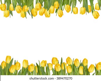 Isolated tulip frame arrangement, on a white background. EPS 10 vector file included