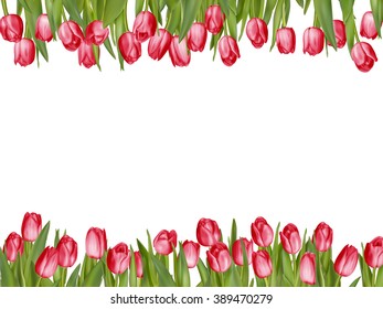 Isolated tulip frame arrangement, on a white background. EPS 10 vector file included
