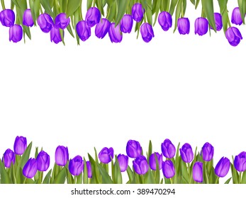 Isolated tulip frame arrangement, on a white background. EPS 10 vector file included