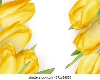 Isolated tulip frame arrangement, on a white background. EPS 10 vector file included