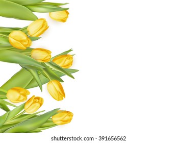 Isolated tulip frame arrangement, on a white background. EPS 10 vector file included