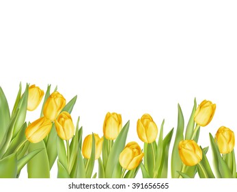 Isolated tulip frame arrangement, on a white background. EPS 10 vector file included