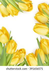 Isolated tulip frame arrangement, on a white background. EPS 10 vector file included