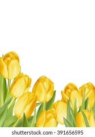 Isolated tulip frame arrangement, on a white background. EPS 10 vector file included