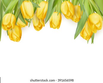 Isolated tulip frame arrangement, on a white background. EPS 10 vector file included
