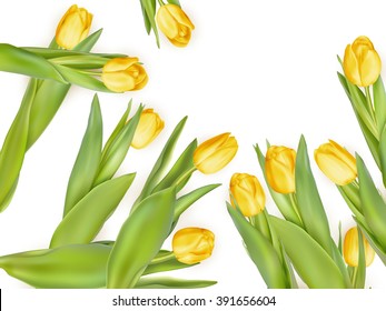 Isolated tulip frame arrangement, on a white background. EPS 10 vector file included