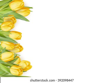 Isolated tulip frame arrangement, on a white background. EPS 10 vector file included