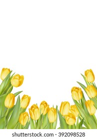 Isolated tulip frame arrangement, on a white background. EPS 10 vector file included
