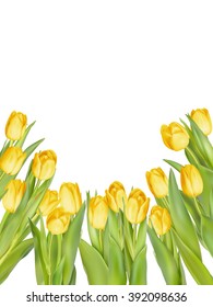 Isolated tulip frame arrangement, on a white background. EPS 10 vector file included
